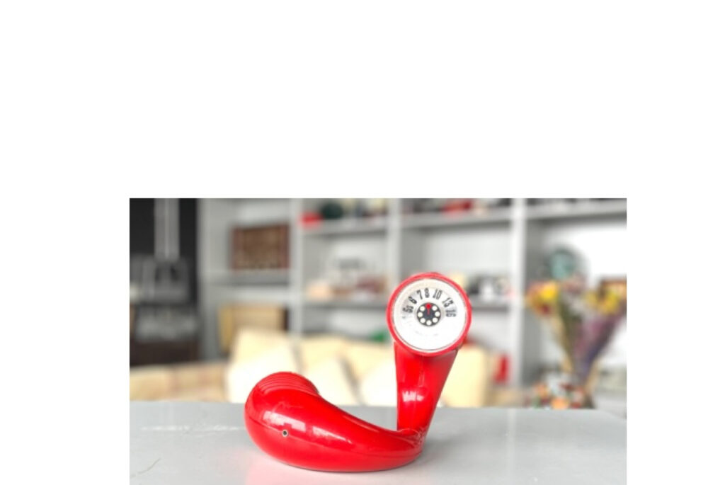 Panasonic R-72 Toot-a-loop
