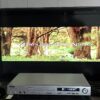 Reproductor DVD Orbit DVD-2850